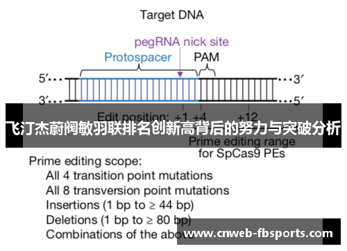 飞汀杰蔚阀敏羽联排名创新高背后的努力与突破分析
