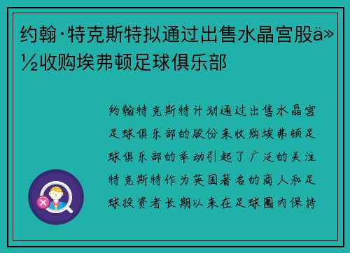 约翰·特克斯特拟通过出售水晶宫股份收购埃弗顿足球俱乐部